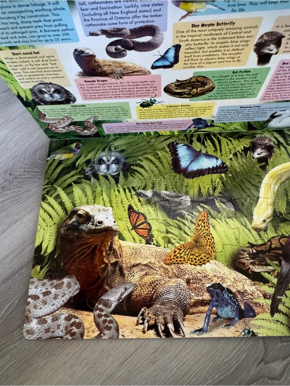 Animal treasures large puzzle book featuring endangered animals